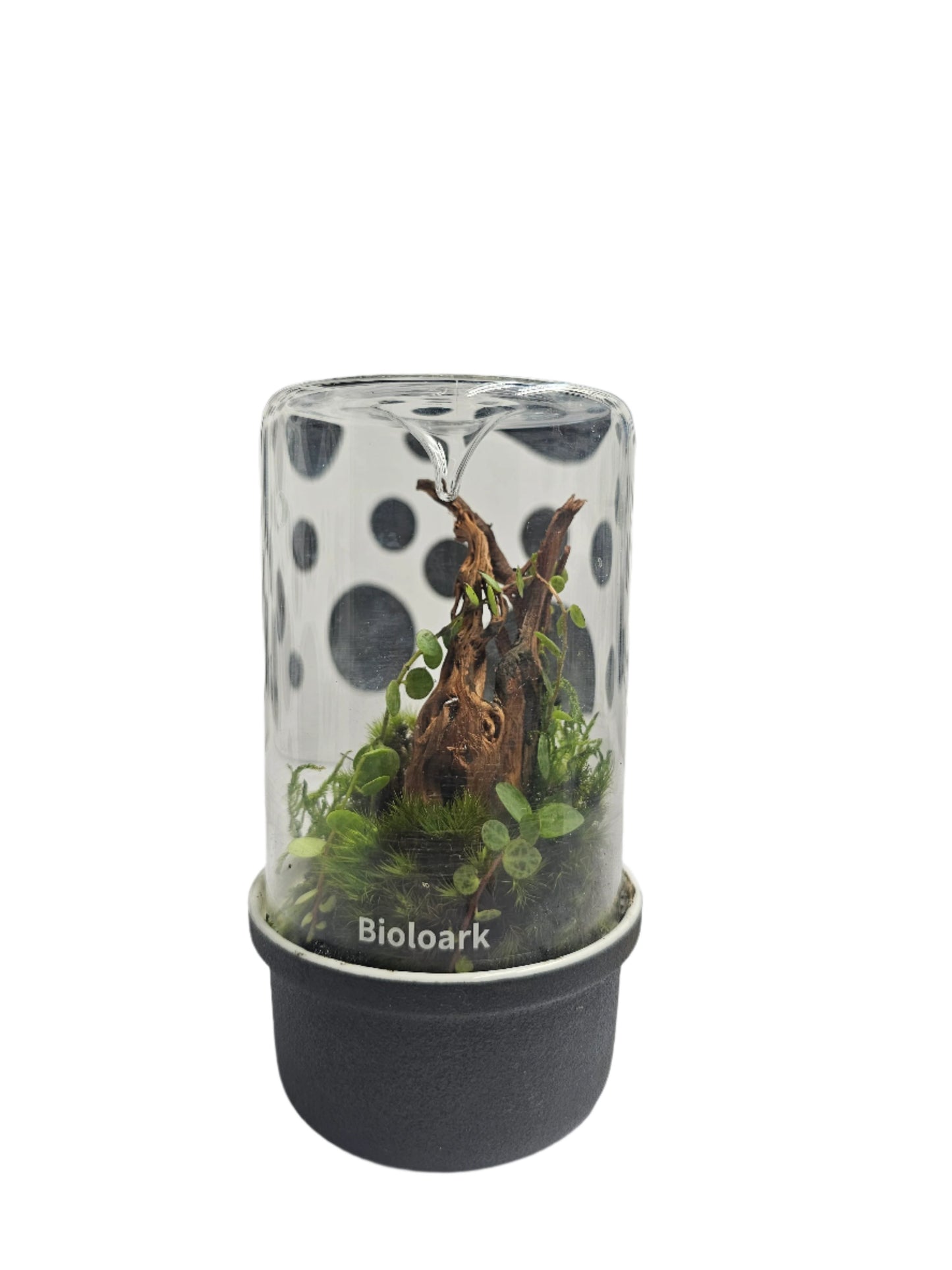 Bioloark Bio Bottle MH-Series