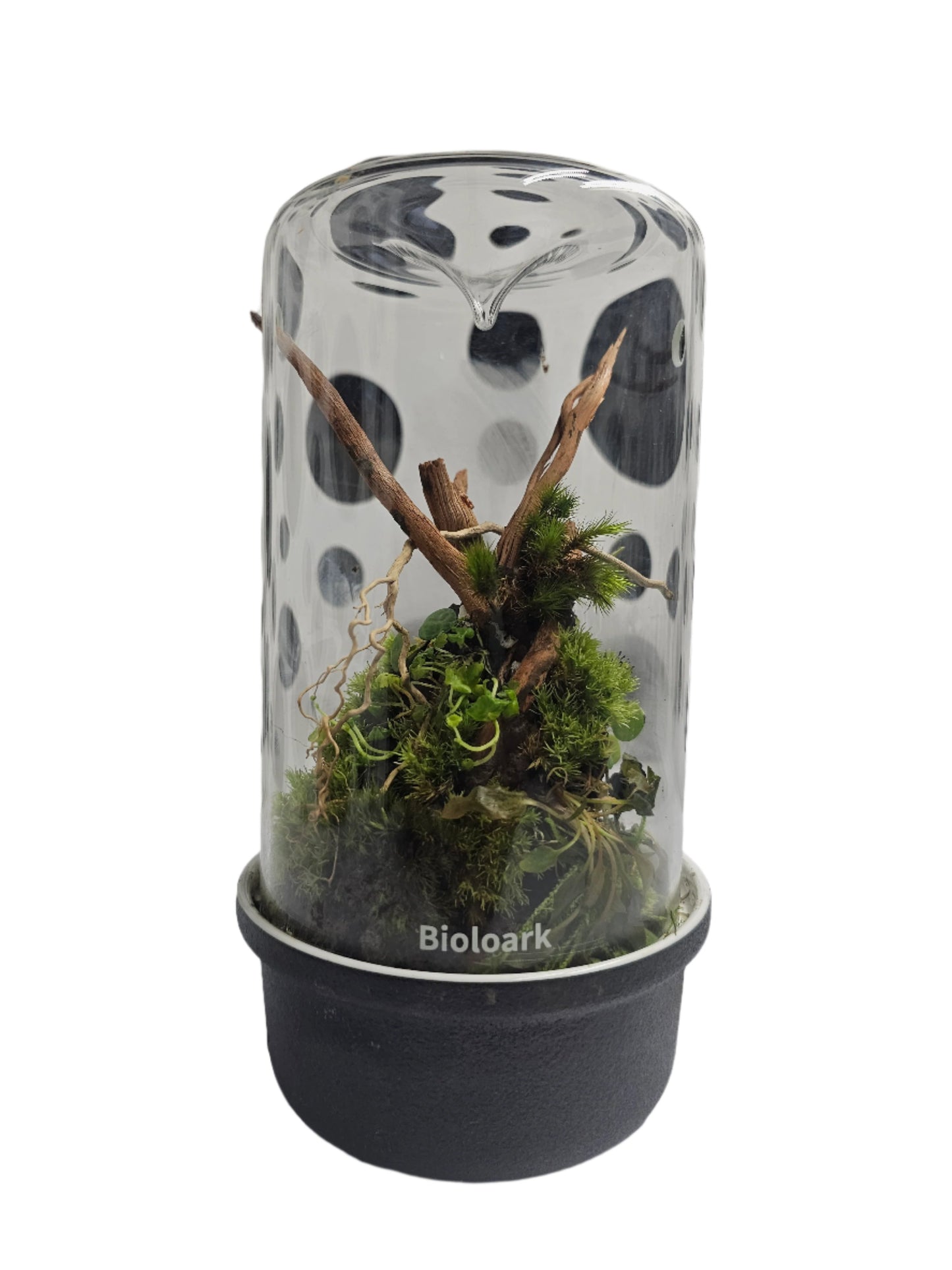 Bioloark Bio Bottle MH-Series