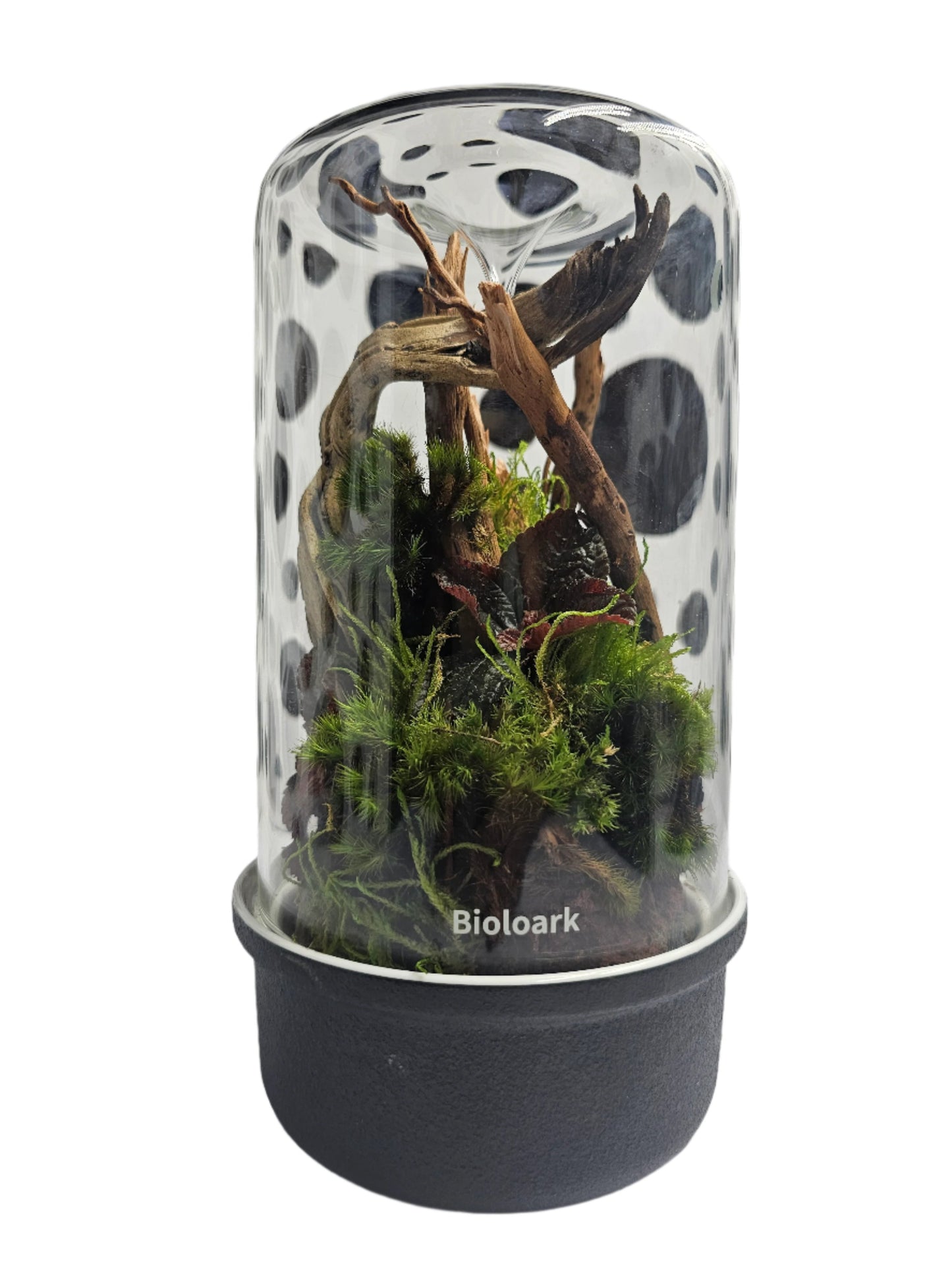 Bioloark Bio Bottle MH-Series
