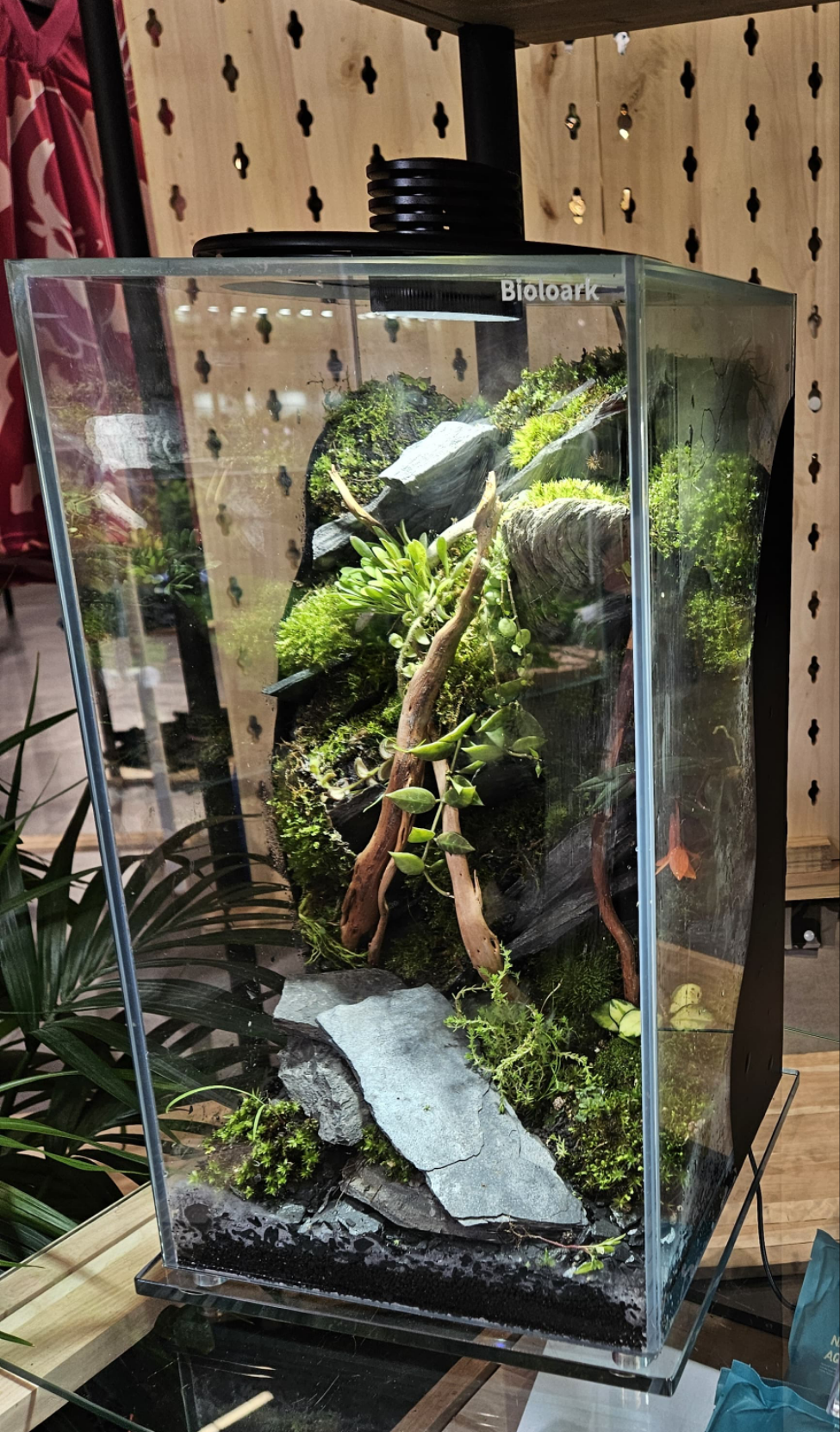 Bioloark FD 250