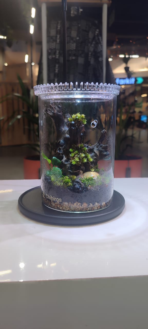 Kiddies Terrarium Workshop
