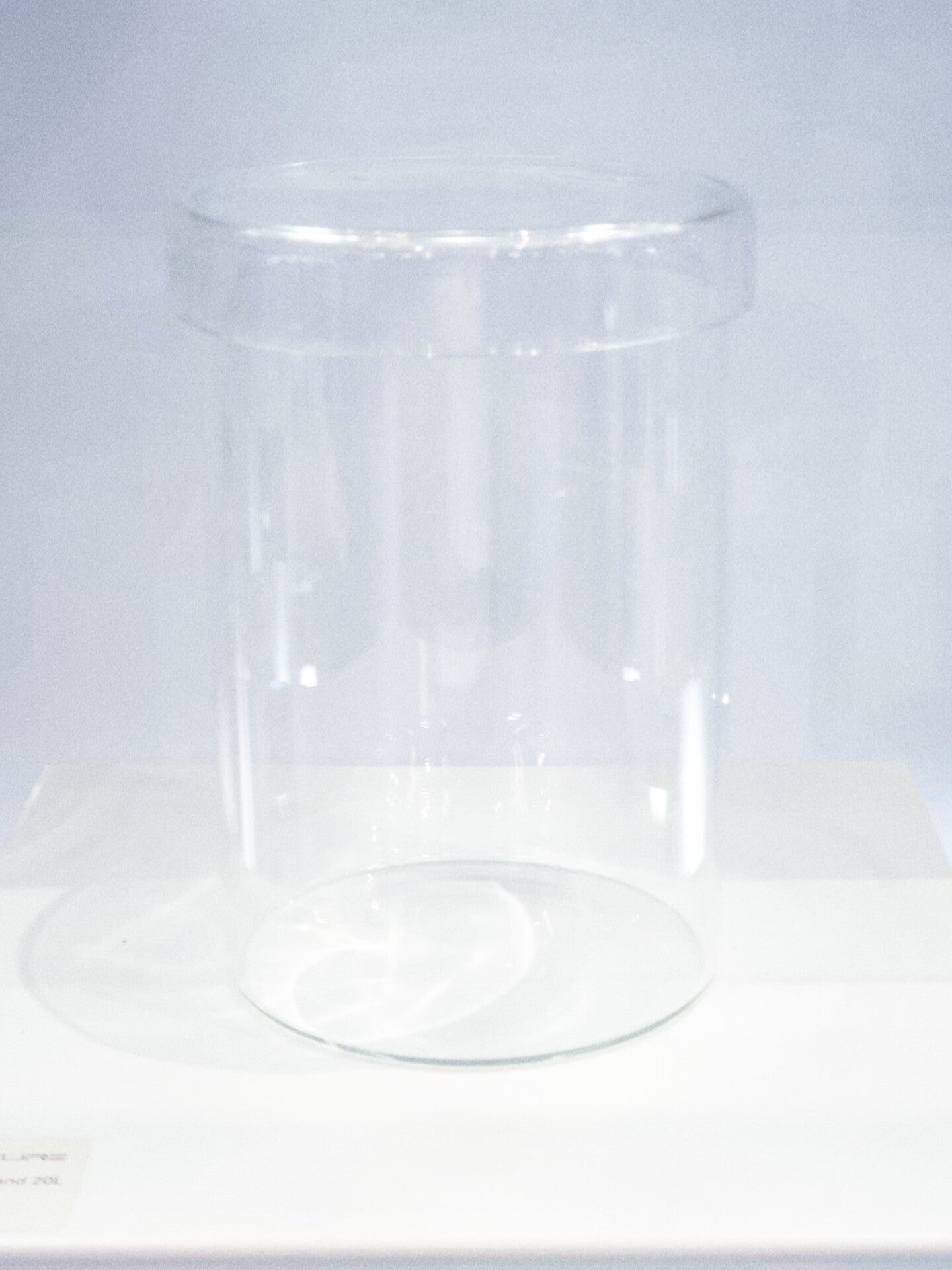 Living Art Botanicals Sophia Glass Pot