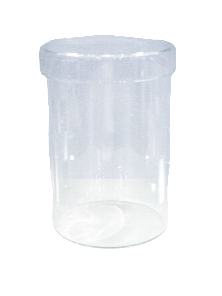 Living Art Botanicals Sophia Glass Pot