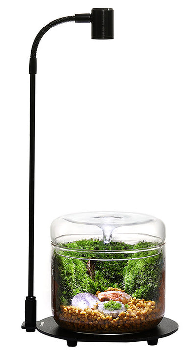 Antique Cafe Terrarium Workshop