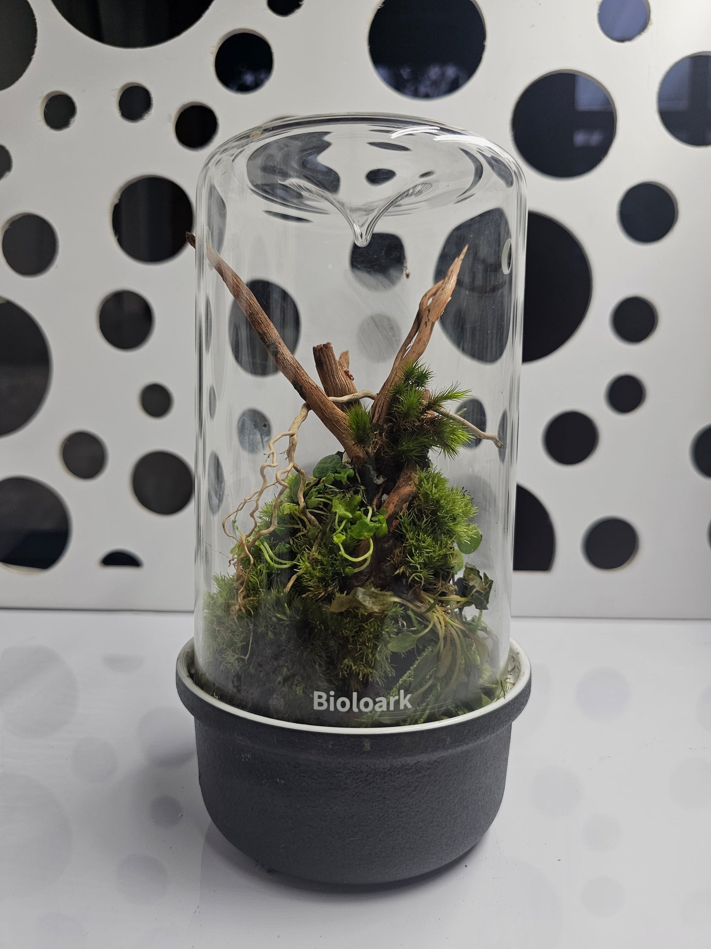 Bioloark Bio Bottle MH-Series