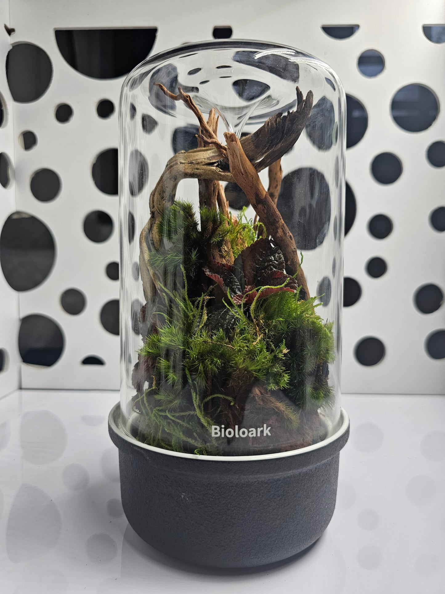 Bioloark Bio Bottle MH-Series