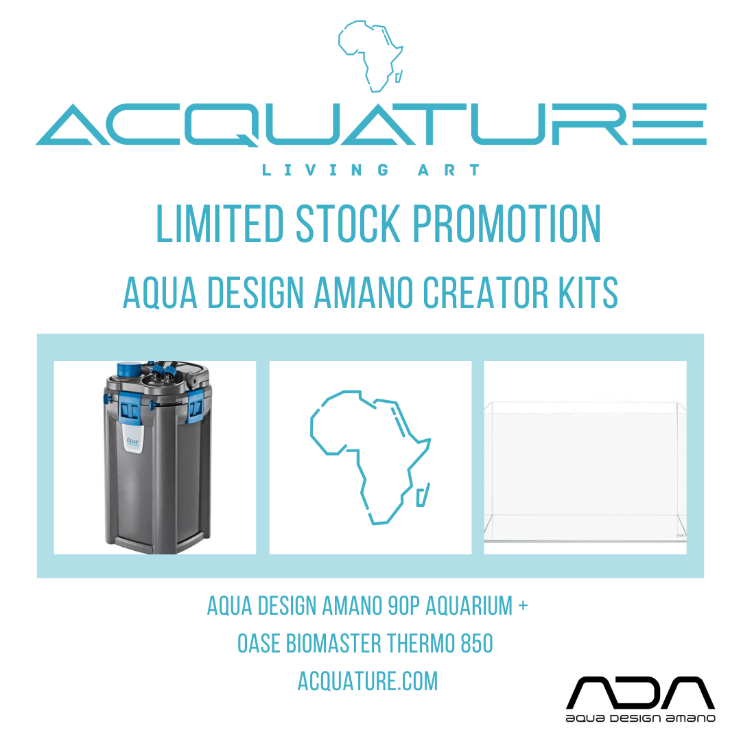 Aqua Design Amano Creator 90P + Oase Biomaster