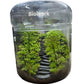 Antique Cafe Terrarium Workshop