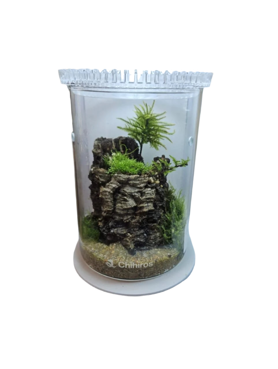 Santosa Coffee Shop  Terrarium Workshop