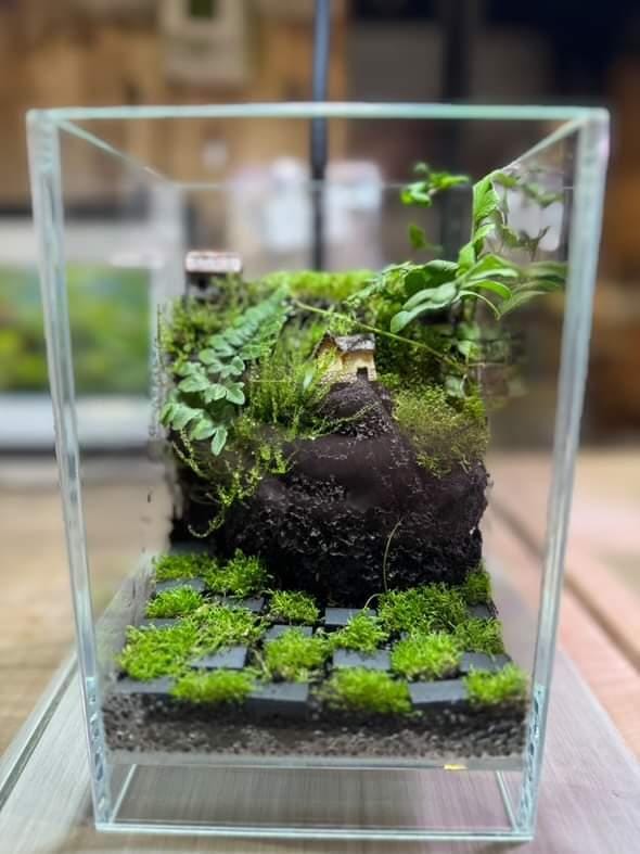 Antique Cafe Terrarium Workshop