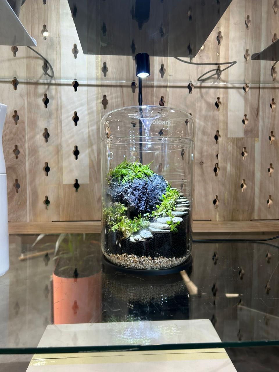 MY 150 H  BIOLOARK