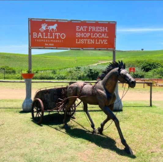 Farmers Market Ballito Terrarium workshop
