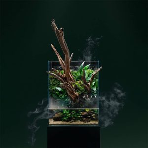 UNS FORESTA 35E Integrated Paludarium