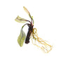 Dennerle Aponogeton madagascariensis BULB