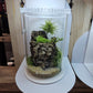 Acquature Living Arts Lab - Terrarium Workshops Celebrate Nature!