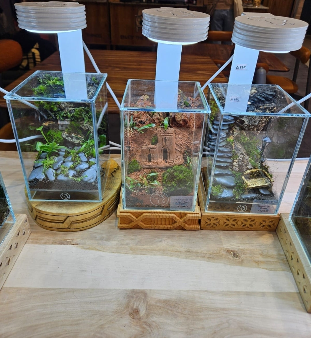 Acquature Living Arts Lab - Terrarium Workshops Celebrate Nature!