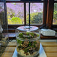 Acquature Living Arts Lab - Terrarium Workshops Celebrate Nature!
