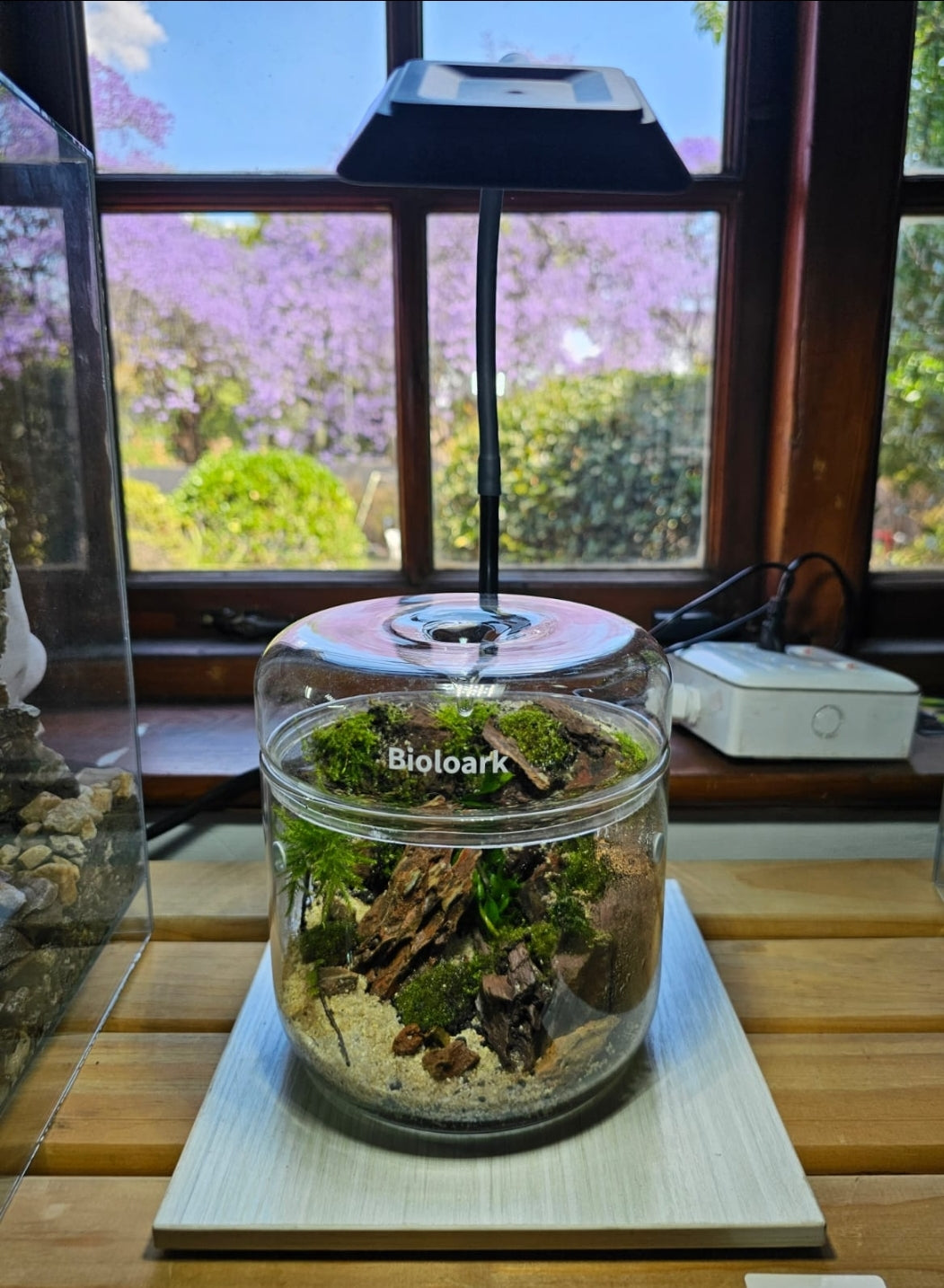 Acquature Living Arts Lab - Terrarium Workshops Celebrate Nature!