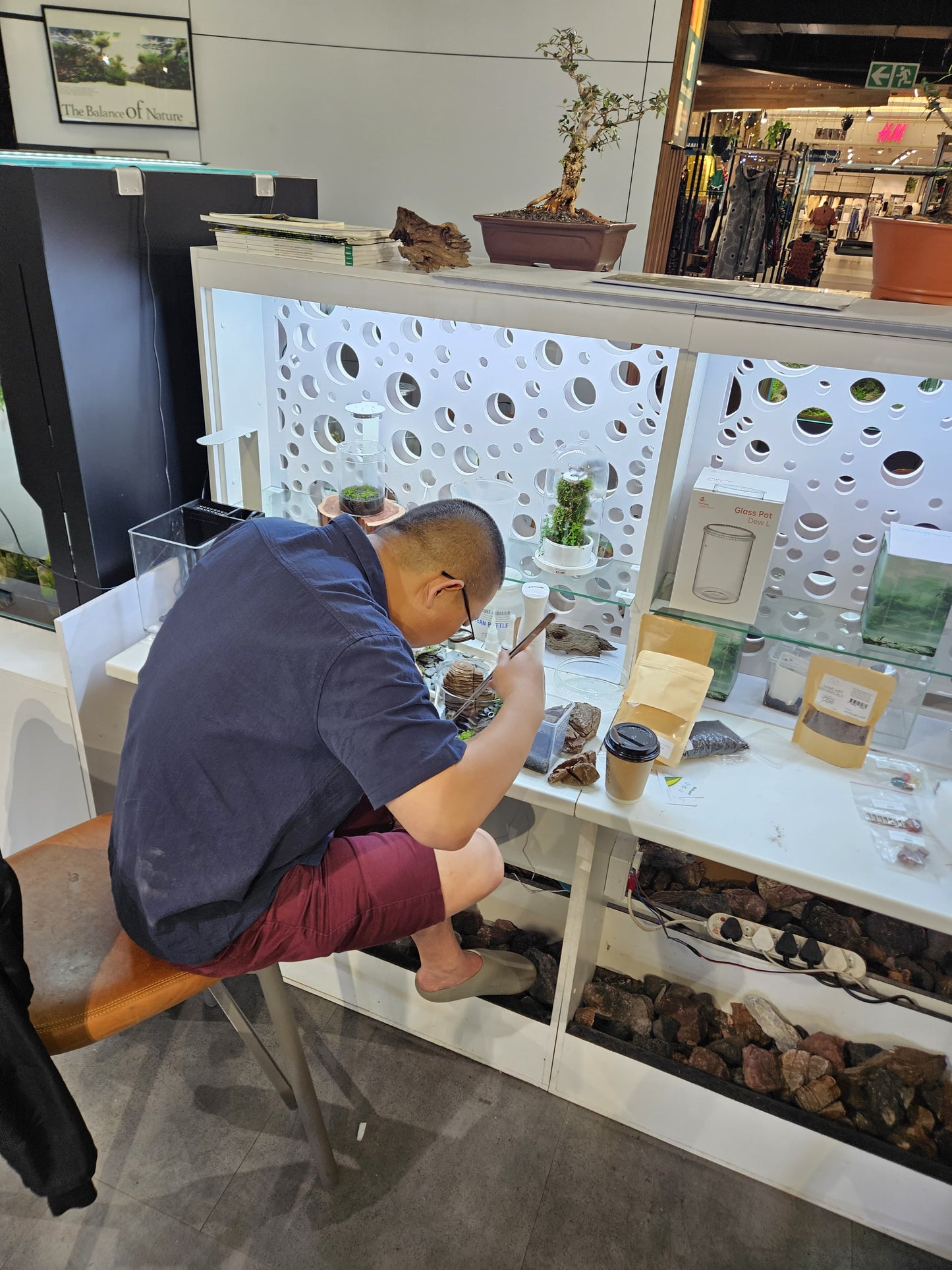 Acquature Living Arts Lab - Terrarium Workshops Celebrate Nature!