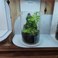 Acquature Living Arts Lab - Terrarium Workshops Celebrate Nature!