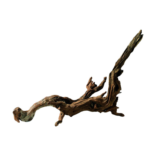 Horn Wood S Each